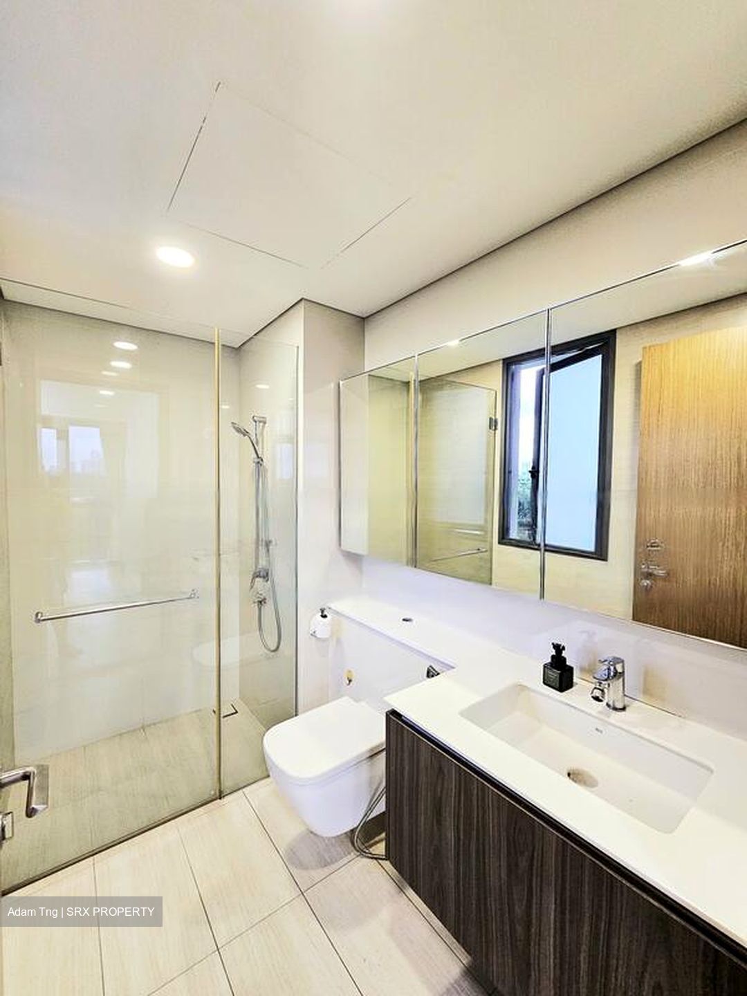 Lakeville (D22), Condominium #453406901